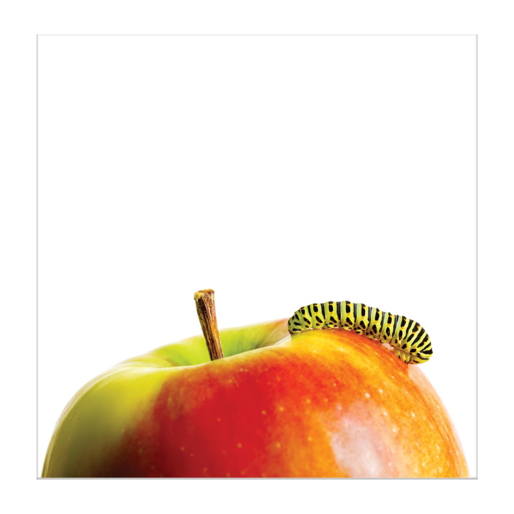 InSKIN FlareUpBalm AppleCaterpillar InsectBite 20160401