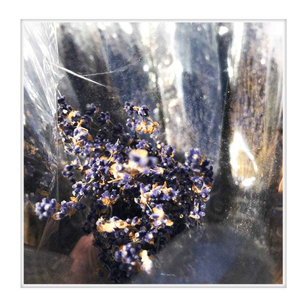 Lavender2 CCVR wFrame 20170501