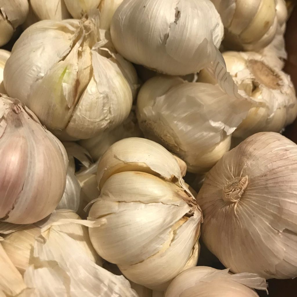 AllergenNotAllergen1 2019 Garlic 29032019