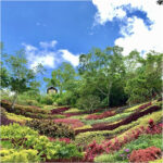 AllergenNotAllergen 2025 GARDEN 20250329