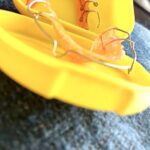 AllergenNotAllergen 2025 BRACESRETAINERS 20250329